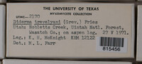 Image Associated With the Occurence
